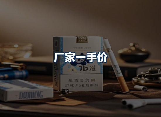 专业团队办公环境